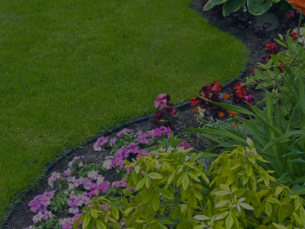 Garden Design
