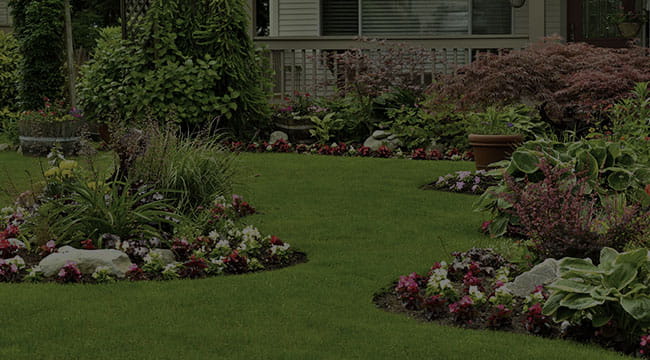 Richmond Landscape Design