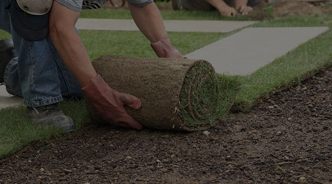 Richmond Lawn Care